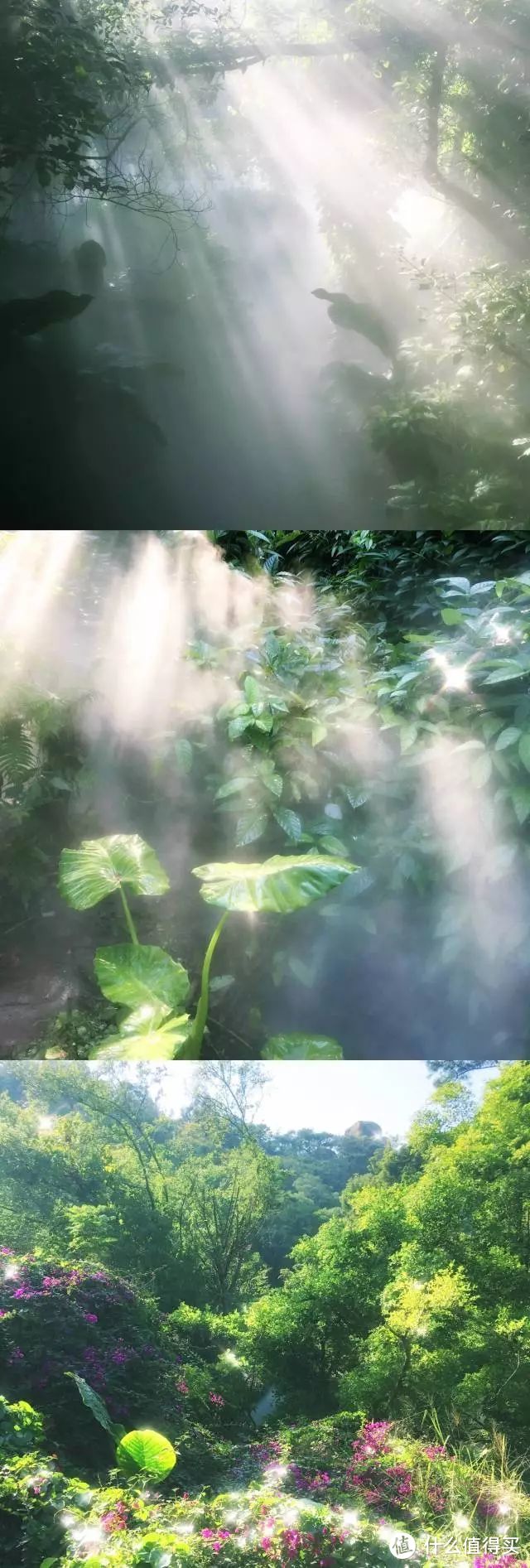 厦门|清风微雨的初夏，来一场甜蜜的慢游