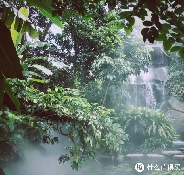 厦门|清风微雨的初夏，来一场甜蜜的慢游