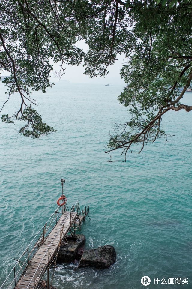 香港|ins打卡圣地，私藏港味美食，总有再来一次的理由