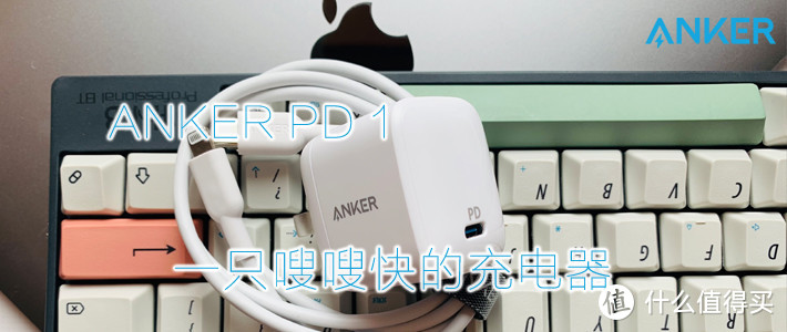 ANKER PD1..一只嗖嗖快的充电器..