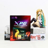 威刚 XPG-S11 Lite系列 512GB 固态硬盘开箱展示(导热贴|接口|主控)