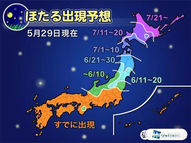 夏夜里的梦幻，是萤火虫和你