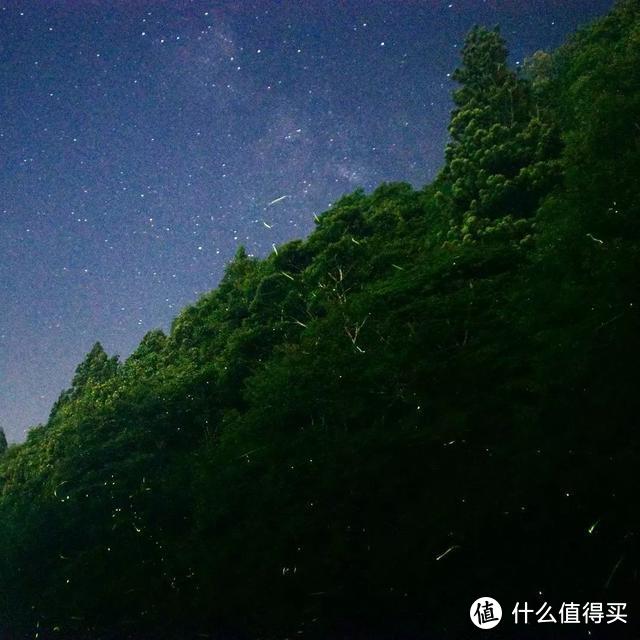 夏夜里的梦幻，是萤火虫和你