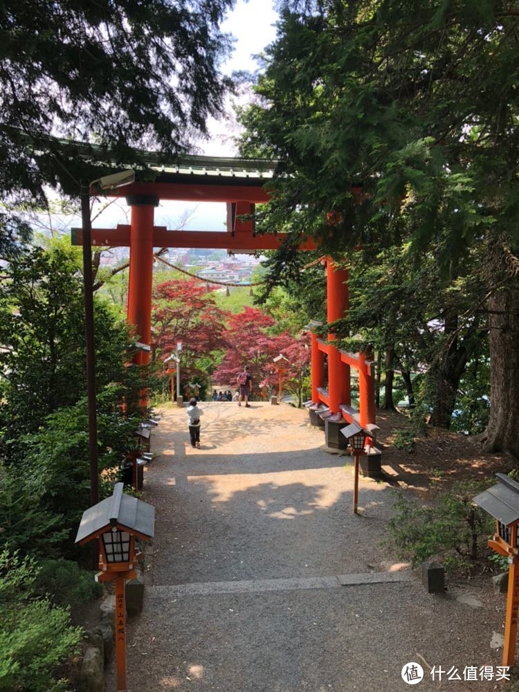 东京旅行记，走马观花看东京