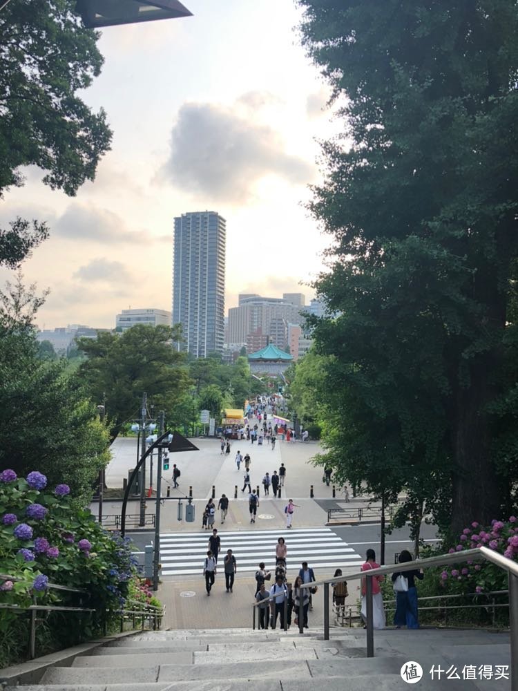 东京旅行记，走马观花看东京