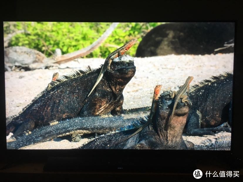 当红炸子鸡—东芝u6900c非专业严肃评测