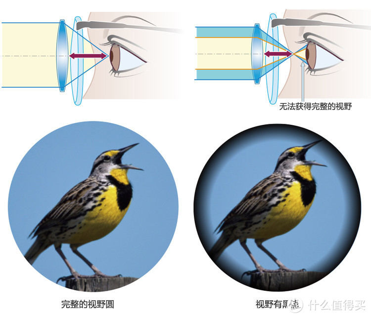 双筒望远镜的使用操作方法图示及注意事项