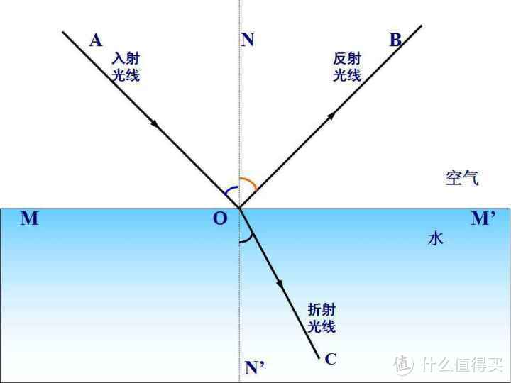 戴眼镜会让眼睛变形？