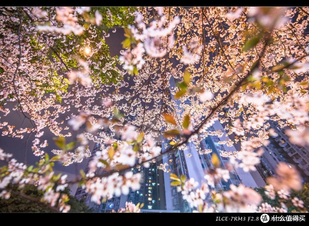 单评 | 适马14-24mm F2.8 DG HSM ART