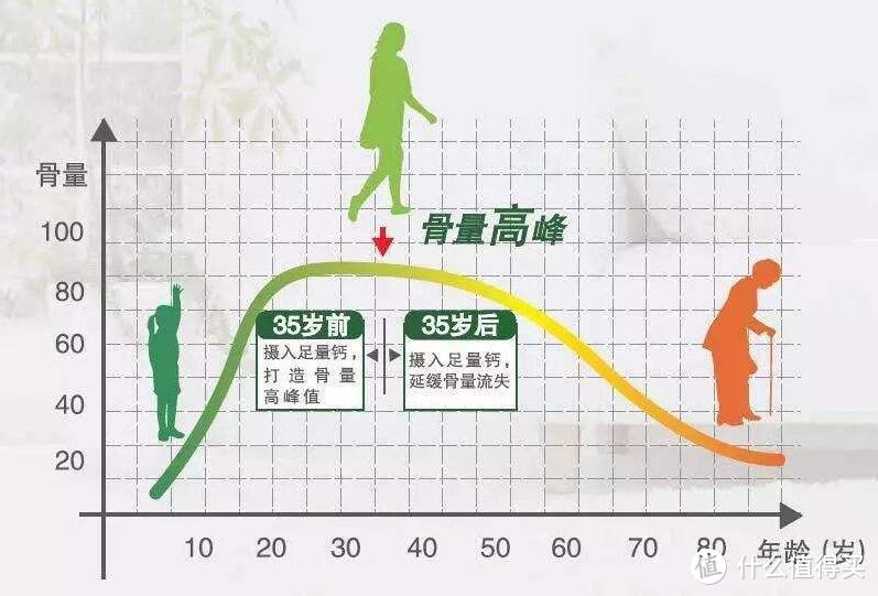 膳食、光照、运动——了解我们身体的奥秘之骨骼篇