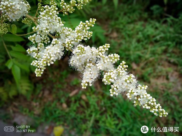 生如夏花！360手机北京奥林匹克公园随拍