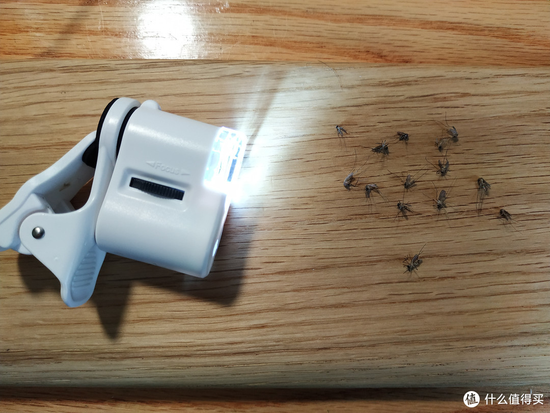 灭蚊灯到底是个什么鬼？我用14只蚊子告诉你答案！！买灭蚊灯，看这一篇就够了！！！