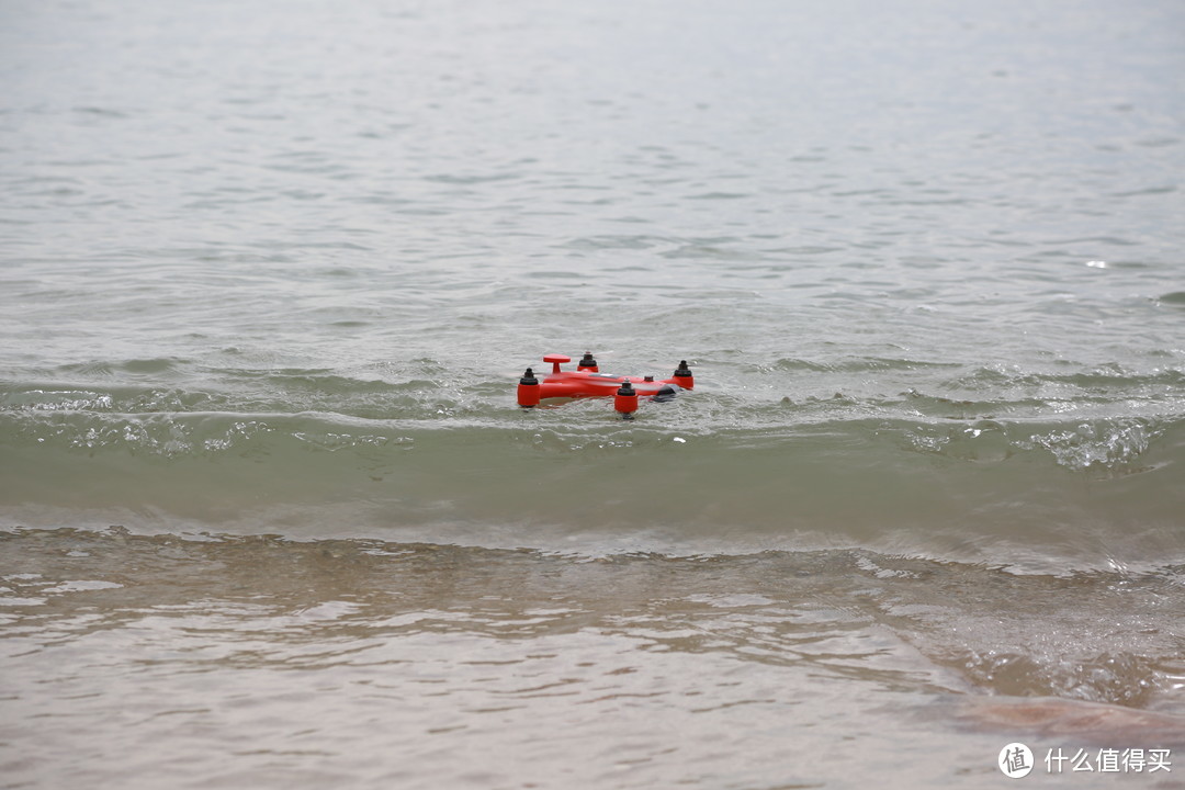 漂浮在水面