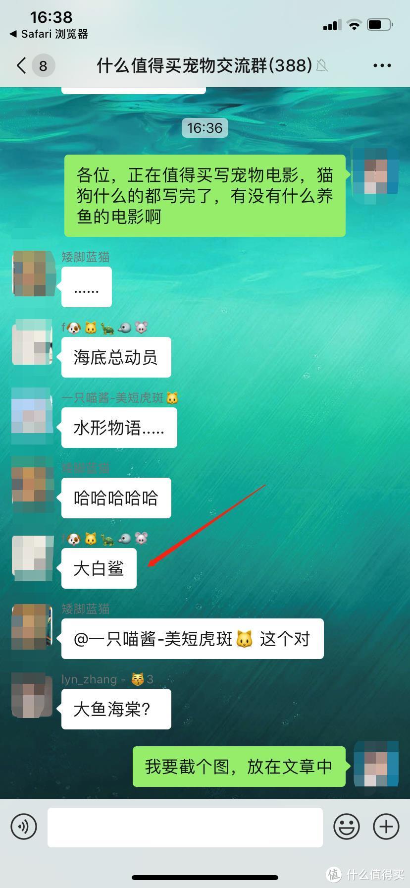 还没养宠物？那先请收藏这些宠物电影