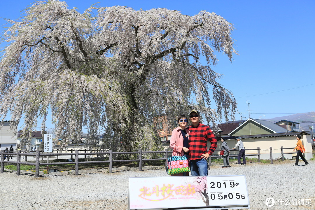 北海道五月樱花正当时篇二 函馆 北斗 松前城 洞爷湖 札幌 小樽 徒步七小时只为樱回廊 国外度假 什么值得买