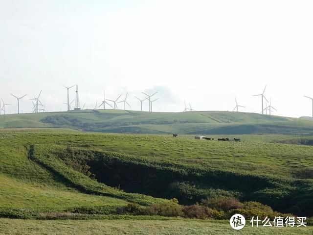 北海道避暑新姿势