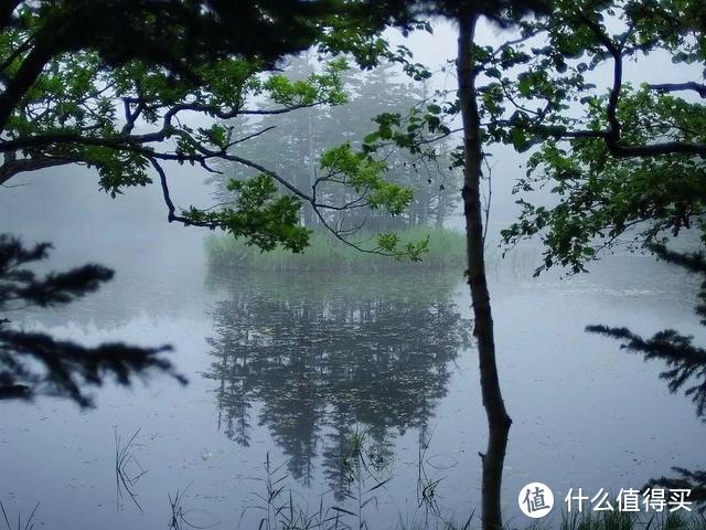 北海道避暑新姿势