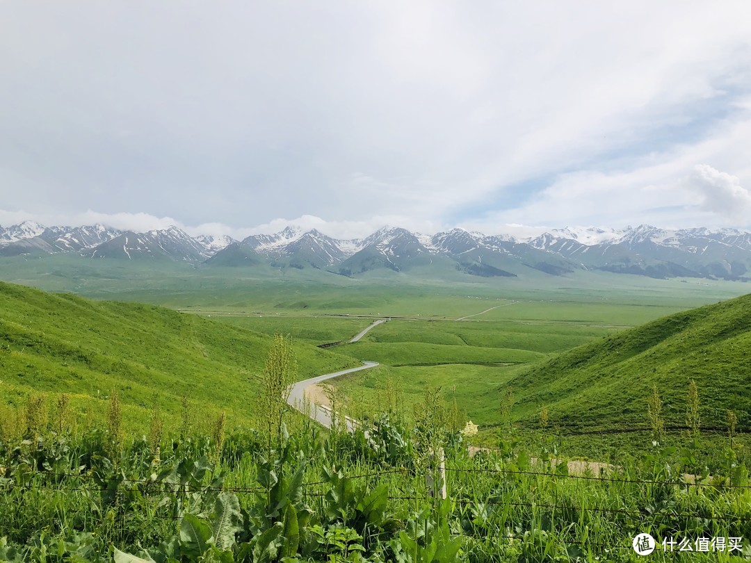 壮美新疆~北疆~伊犁游记