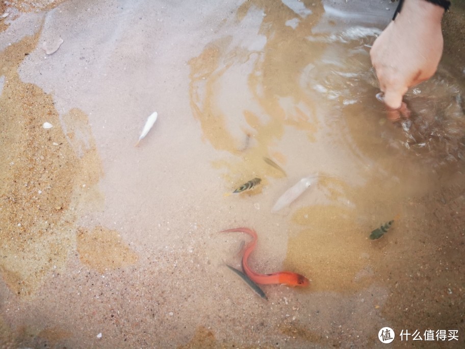 龙游浅滩