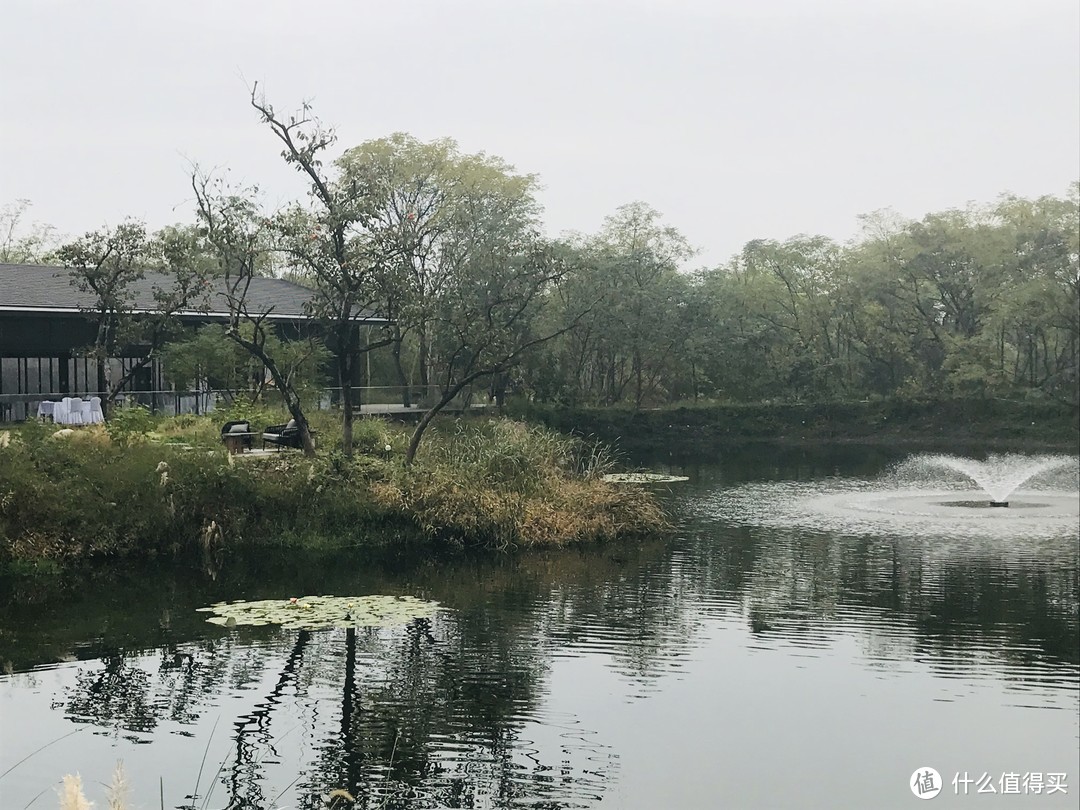 西溪湿地一片不被世俗打扰的境地——杭州木守西溪酒店