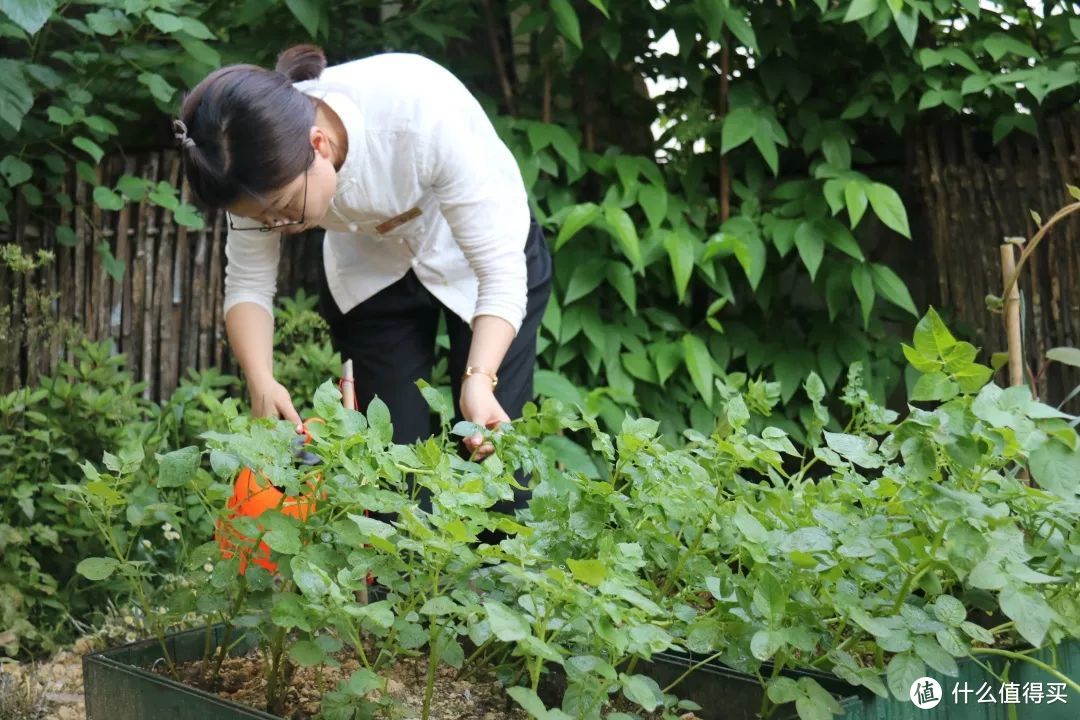 水上狂欢，烤全羊盛宴，在杭州天域开元观堂尽享夏日清凉！