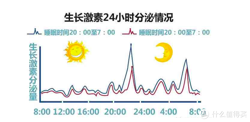 用进废退，潜力无穷——了解我们的身体奥秘之肌肉篇