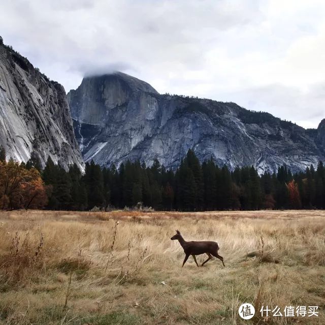 带父母旅行：我走遍千山万水，也要与你们一起分享这世界的精彩