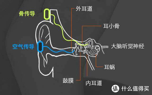 戴上这个铁箍之后，你再也不是凡人了：韶音 AS800骨传导蓝牙耳机使用测评