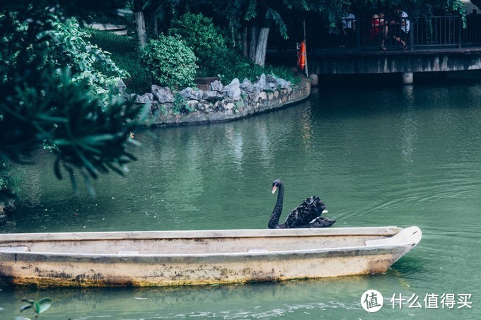 寻味东莞，发现夜晚姗姗来迟的卅城另一面