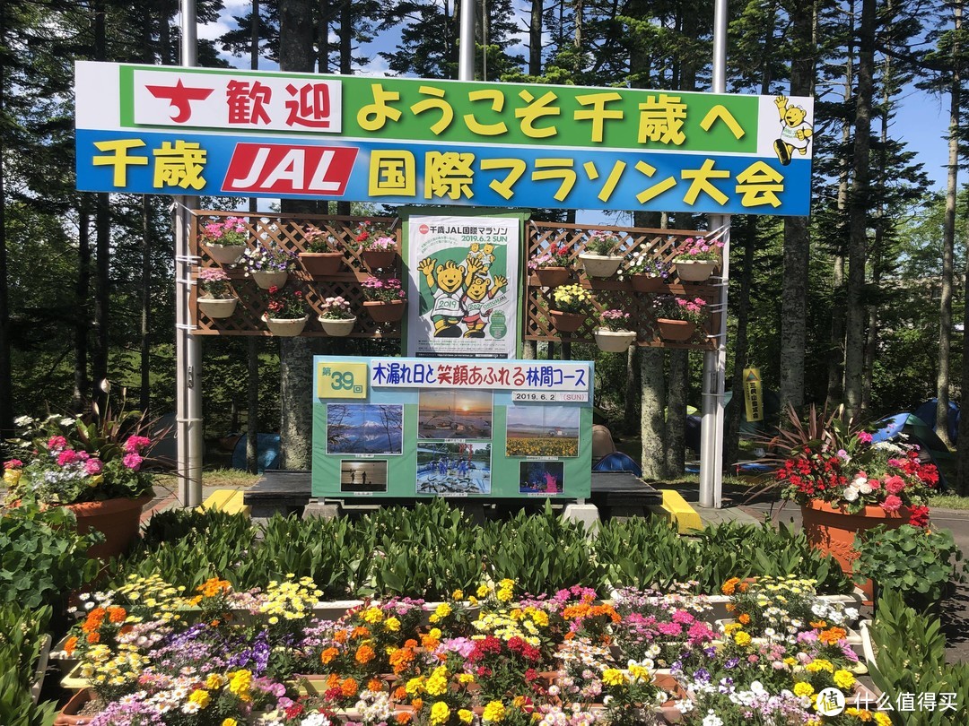 日本马拉松解毒——千岁JAL国际马拉松