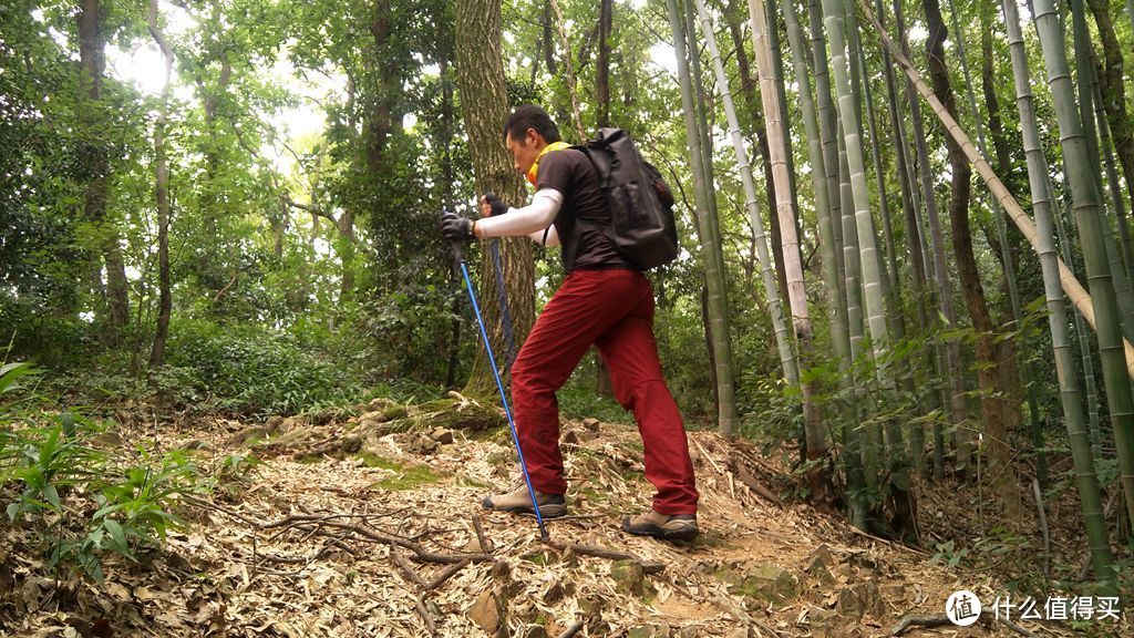 “执”仗有门，拄拐不如双手有仗：学会这几点小窍门，举一反三山野之间必将叫你健步如飞