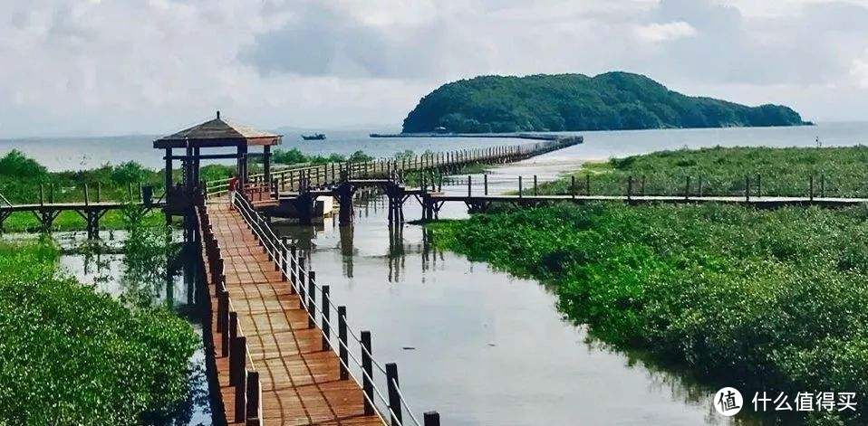 用三天时间去海陵岛自由行，白天探索红树林晚上海滩吃海鲜