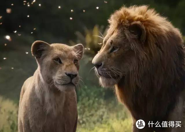 《狮子王》糊了！我们为什么要看一部“动物世界”？