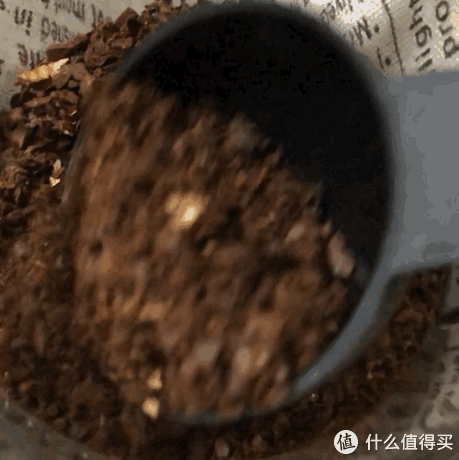 手磨咖啡入门初体验 真香