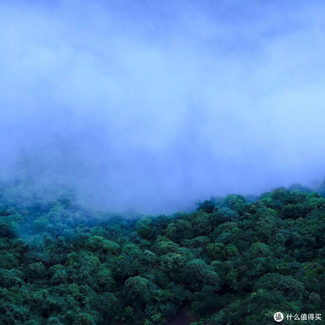 雨中神仙居，我的寻找神仙之旅！