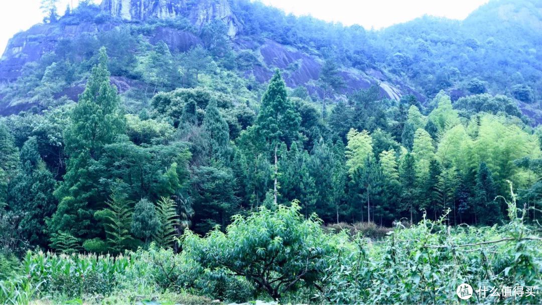 雨中神仙居，我的寻找神仙之旅！