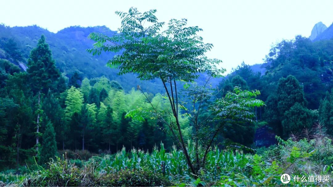 雨中神仙居，我的寻找神仙之旅！