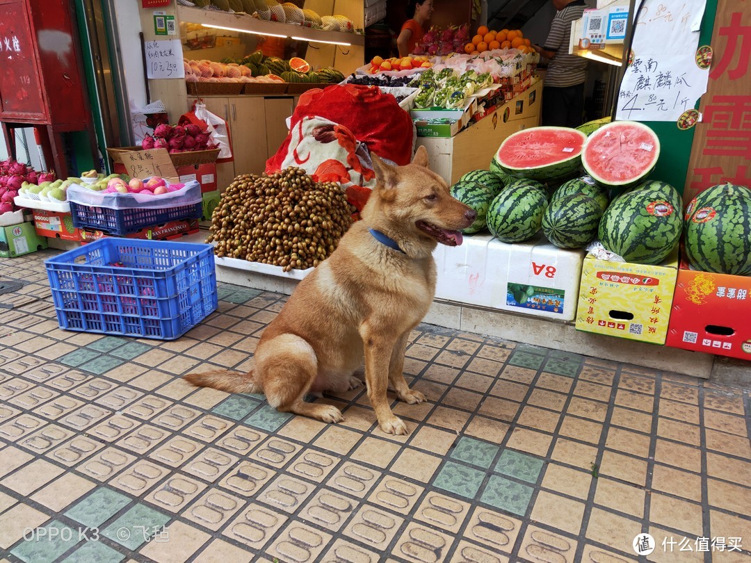 自动模式