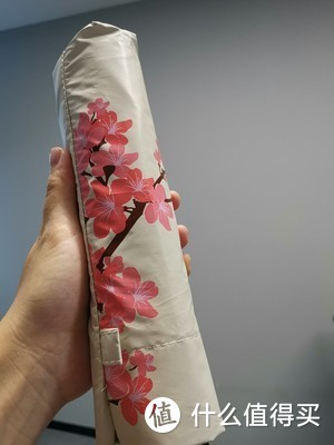 樱花太阳伞
