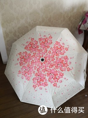樱花太阳伞