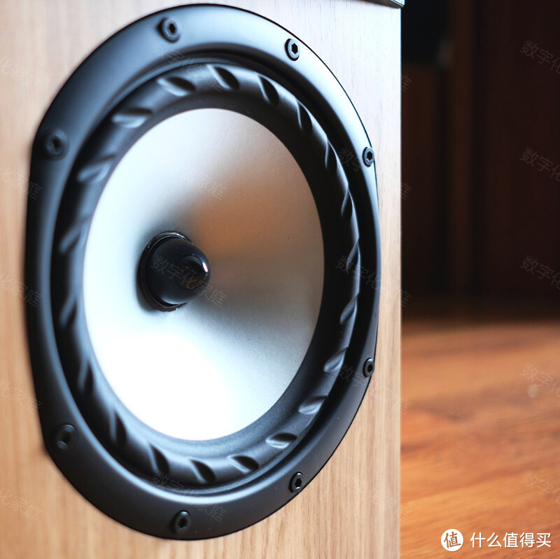 FYNE Audio F301 英式传承