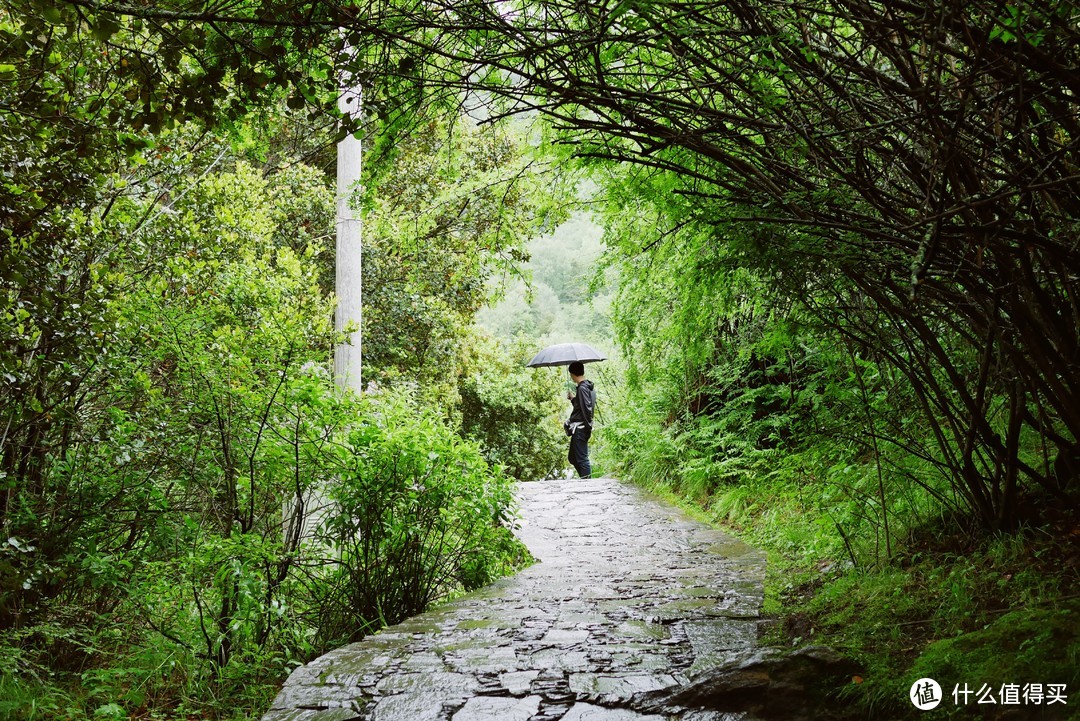 雨季的西藏之行