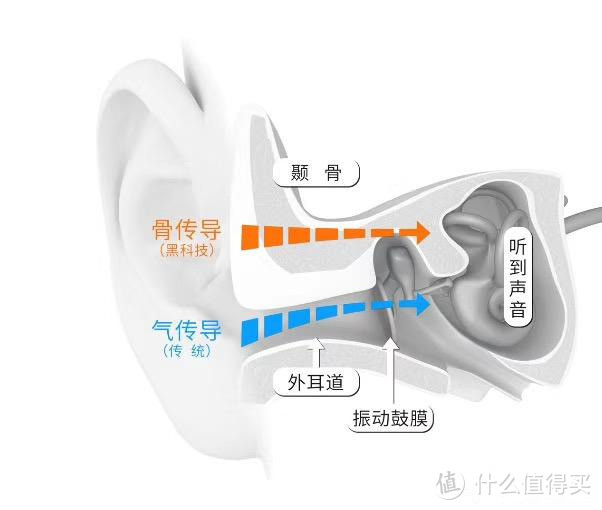 专享天籁，无惧束缚——AfterShokz韶音 AS800 Aeropex 骨传导蓝牙耳机体验评测