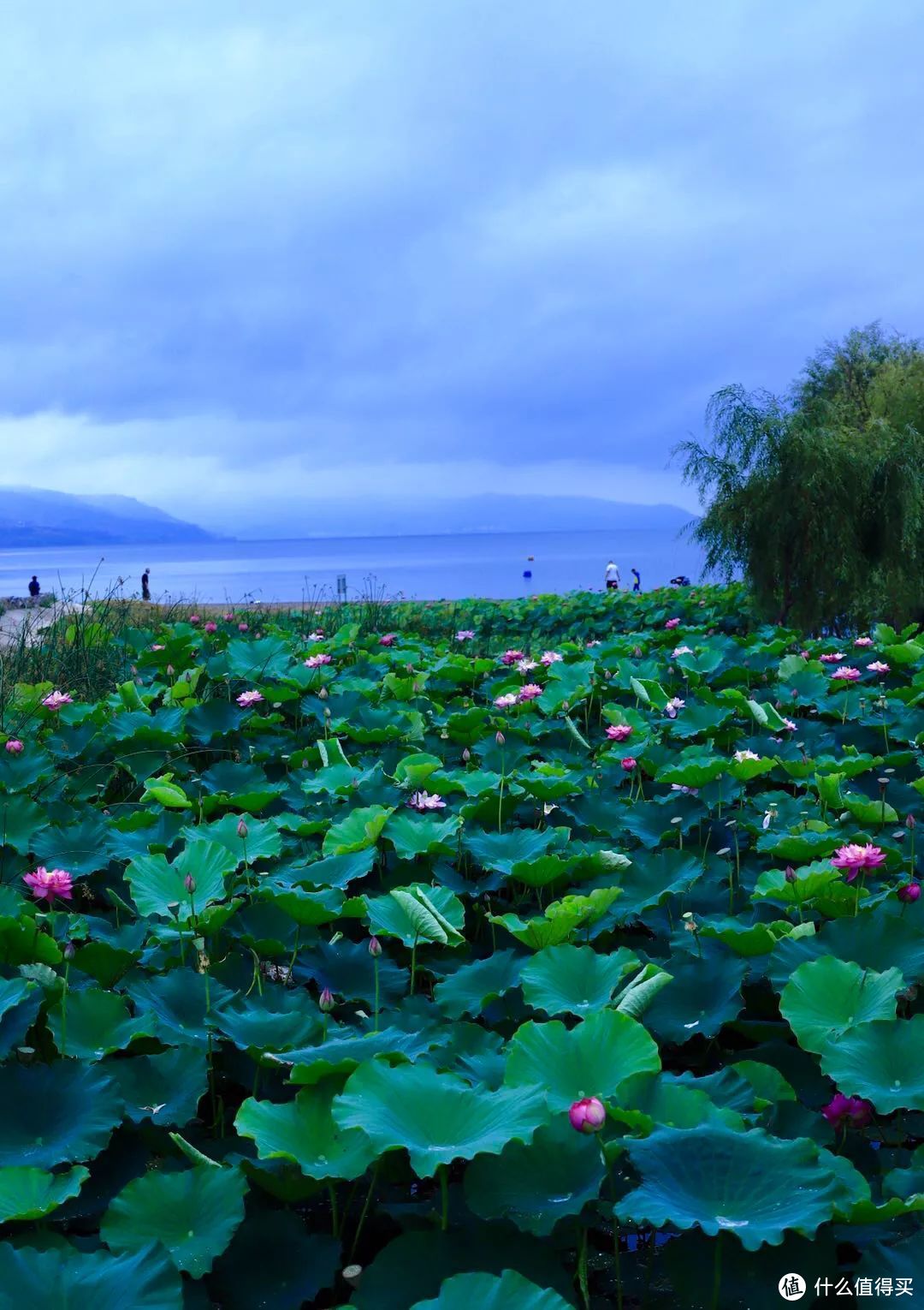 云南小众旅行地，值得二刷三刷多次刷的抚仙湖