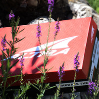 ALTRA SUPERIOR 4 越野跑鞋外观展示(配色|鞋楦|足弓|中底)