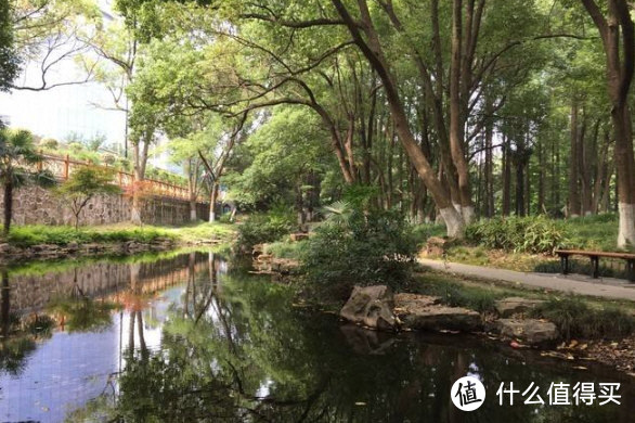 景区内有着各种各样的池塘，临近过年的时候景区还会组织集体捕鱼，作为福利发给职工