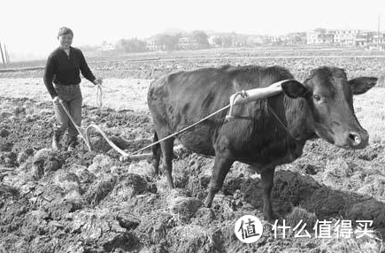 讨好岳父有妙招！博朗多款实用剃须刀全介绍~