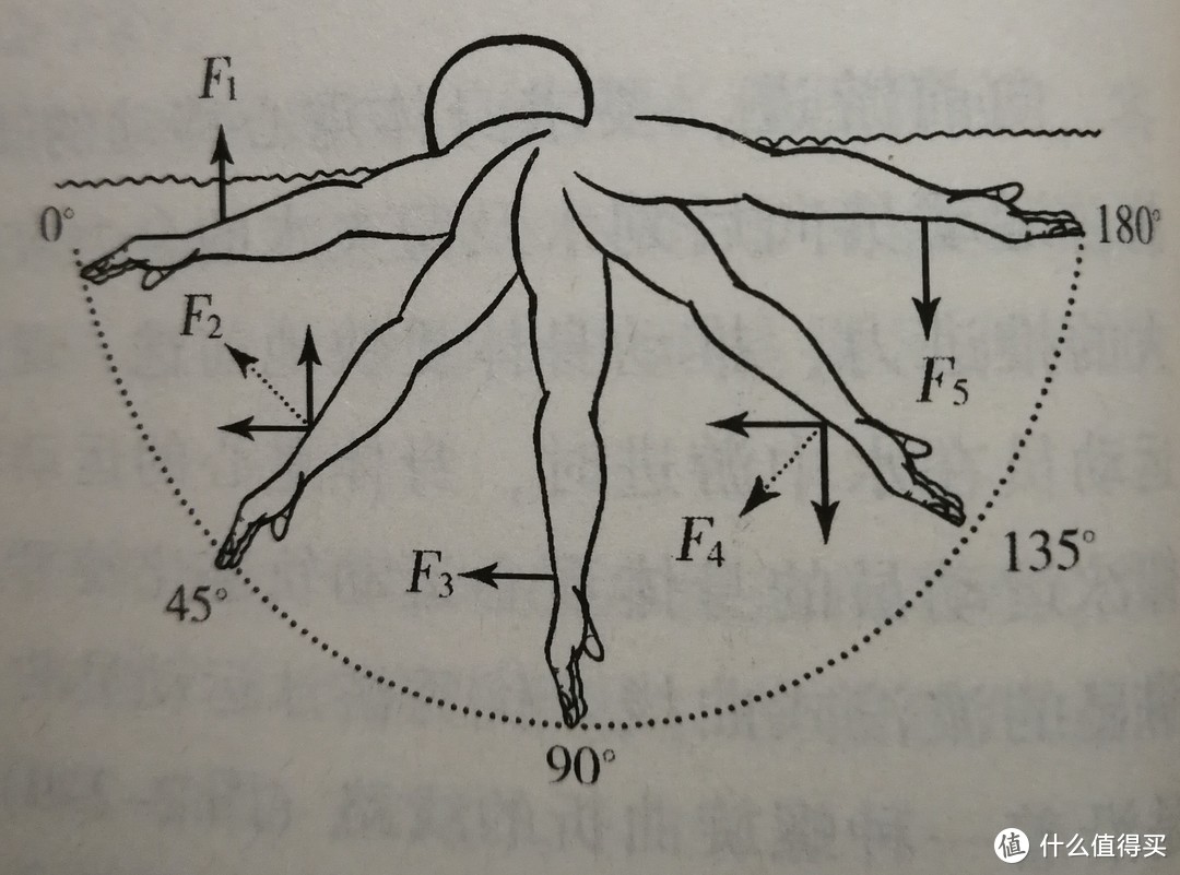 合力（虚线）和分力（实线）