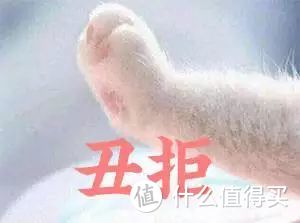 【初夏物语】我眼中的东京