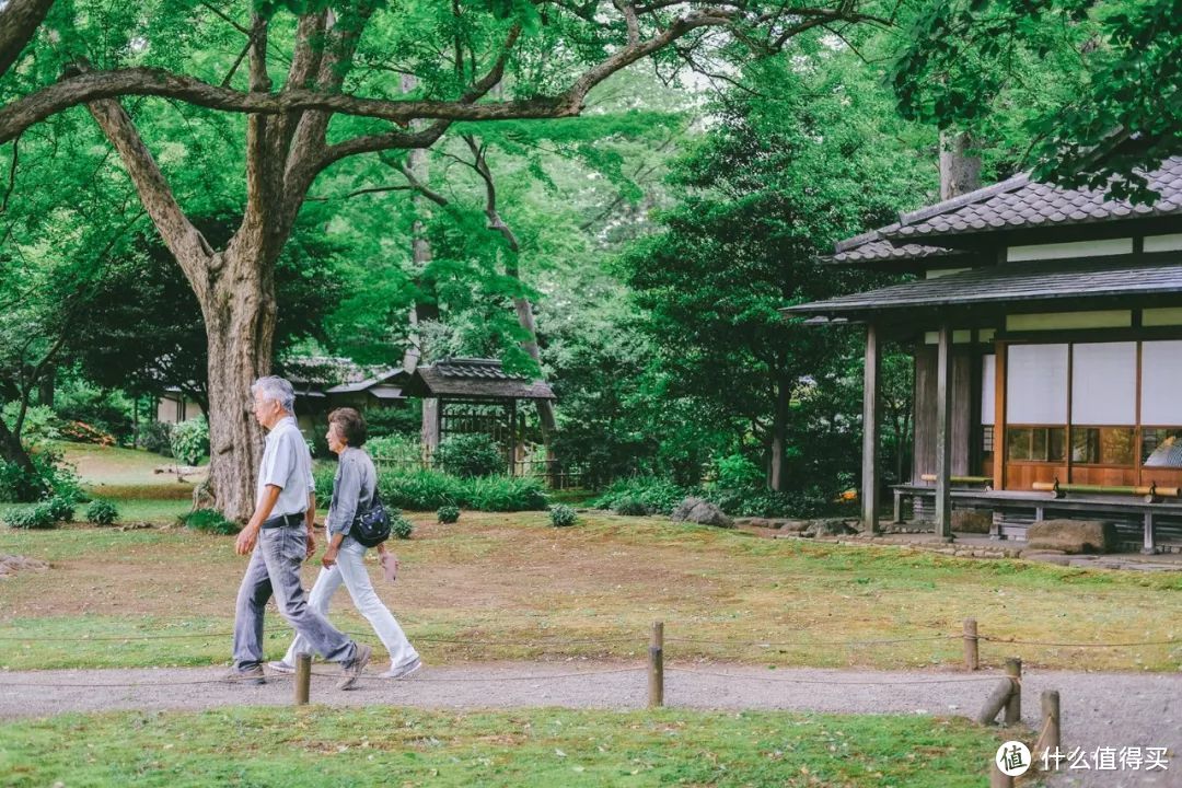 【初夏物语】我眼中的东京